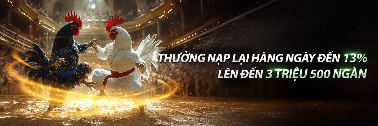 Đá Gà Trực Tuyến Tại Pet88 Đăng Nhập